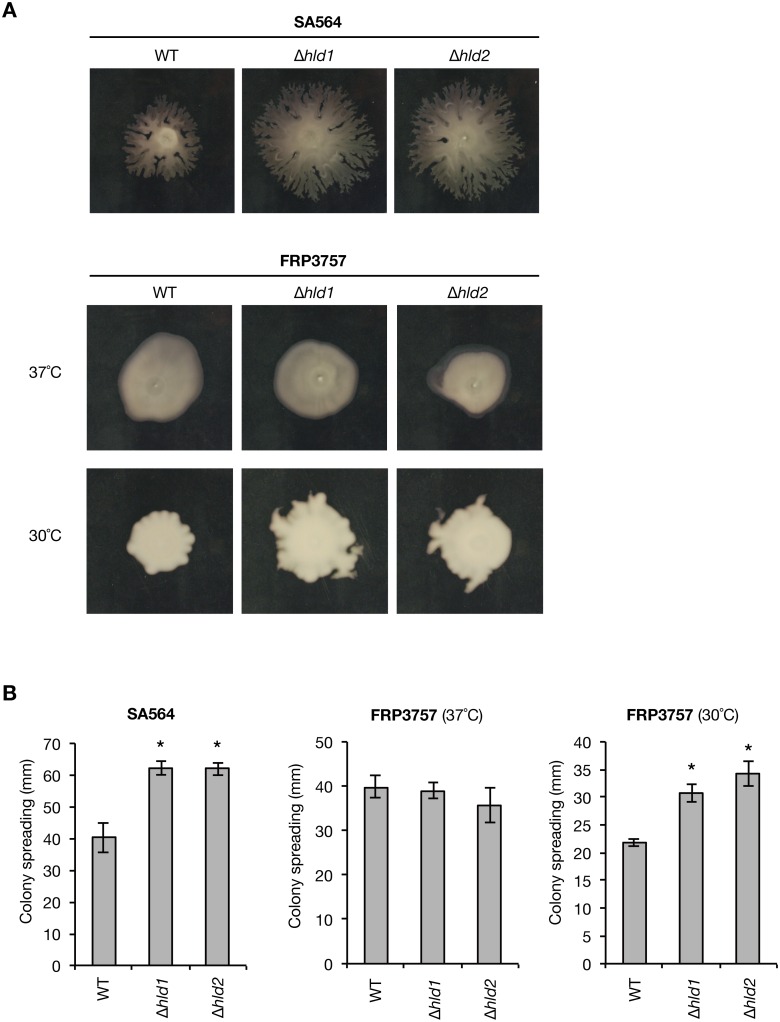 Fig 10