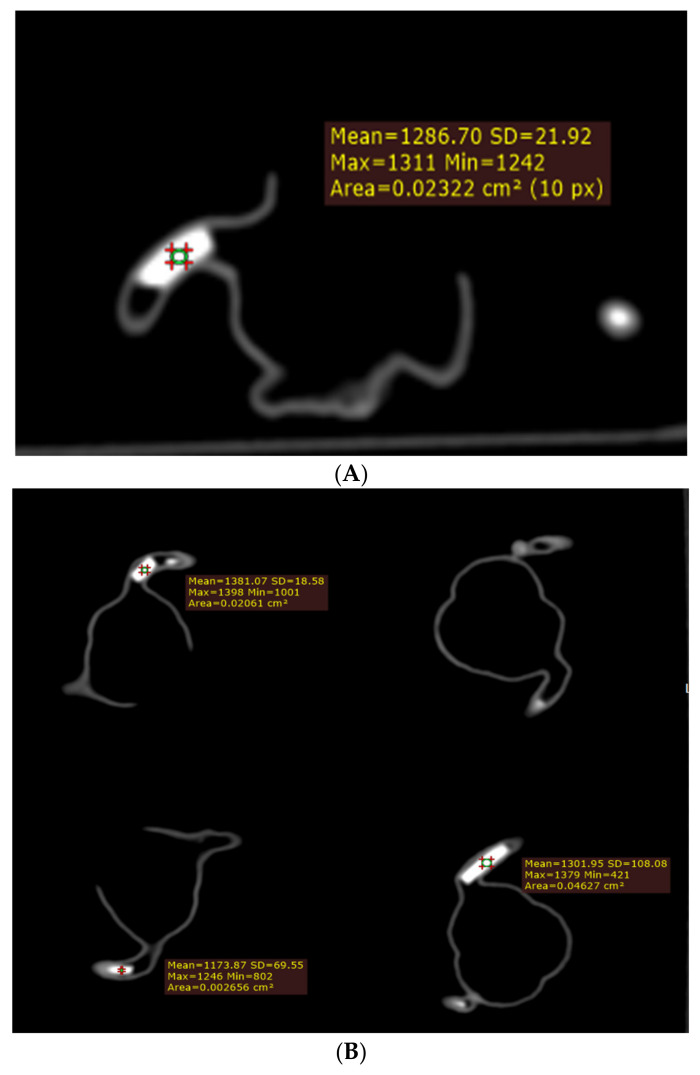 Figure 7