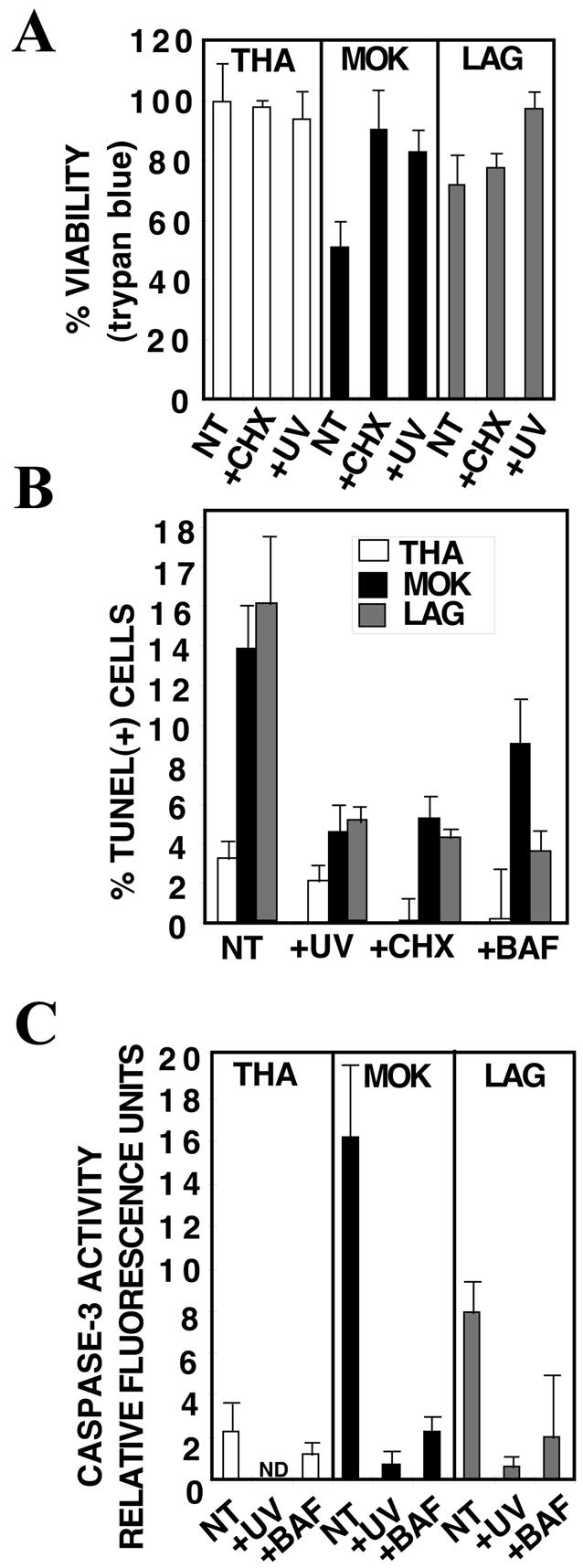 FIG. 5.