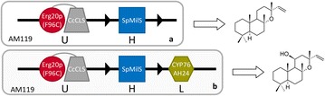 Fig. 3