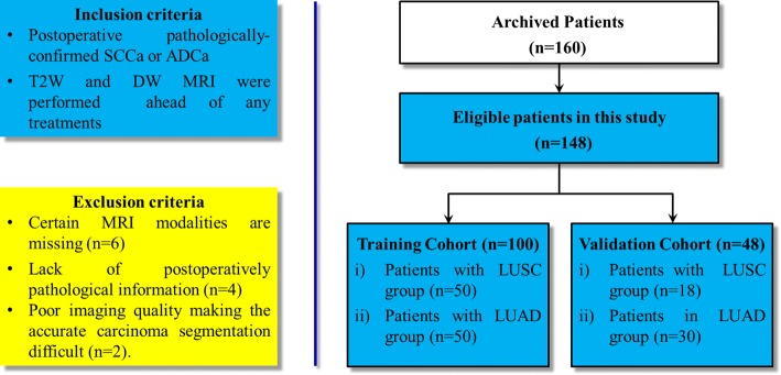 Fig. 6