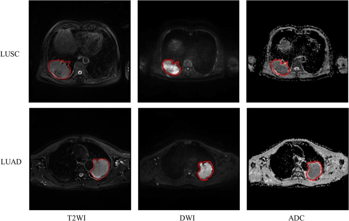 Fig. 7