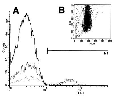 FIG. 6