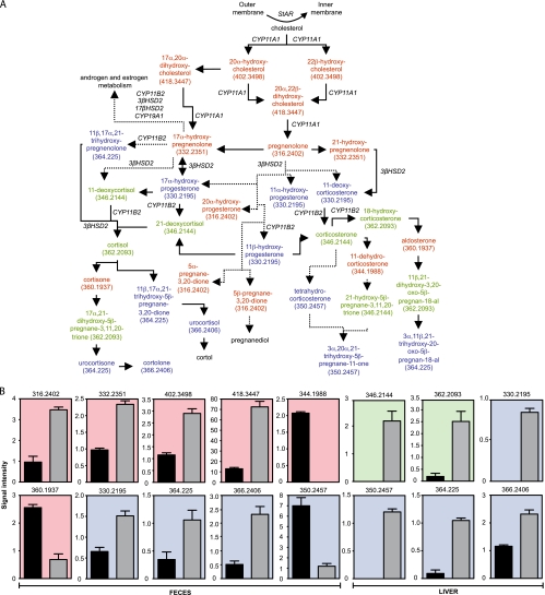 FIG. 7.