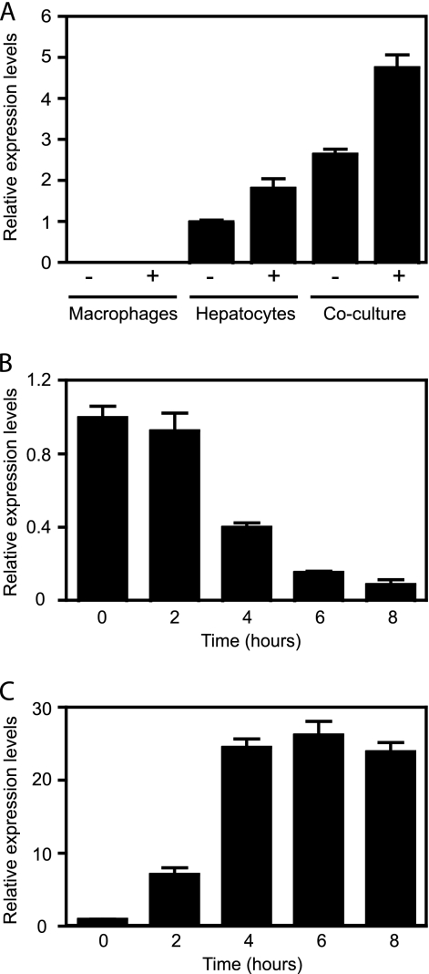 FIG. 10.