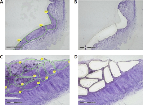 Fig. 3.