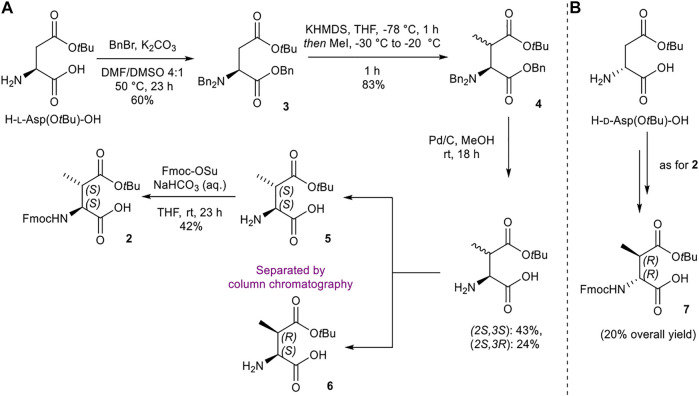 SCHEME 1