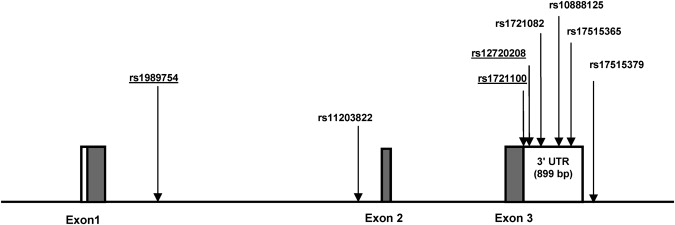 Figure 1