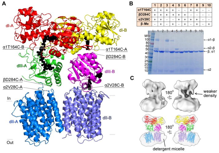 Fig. 3