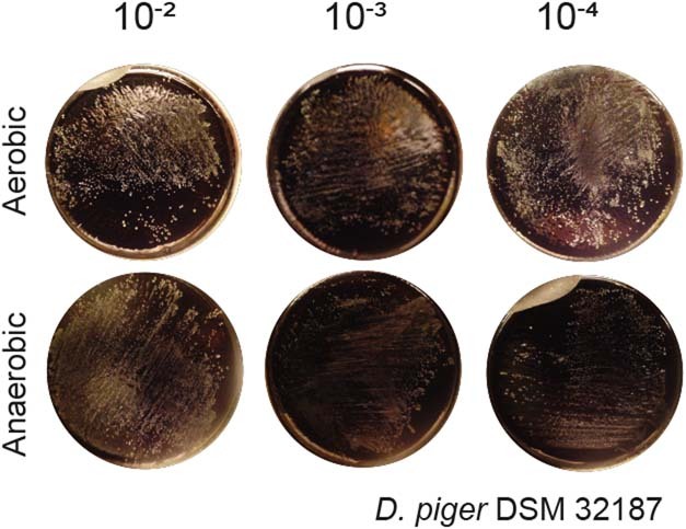 Extended Data Fig. 2