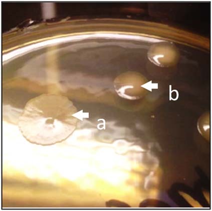 Extended Data Fig. 3