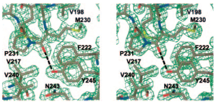 FIG. 3