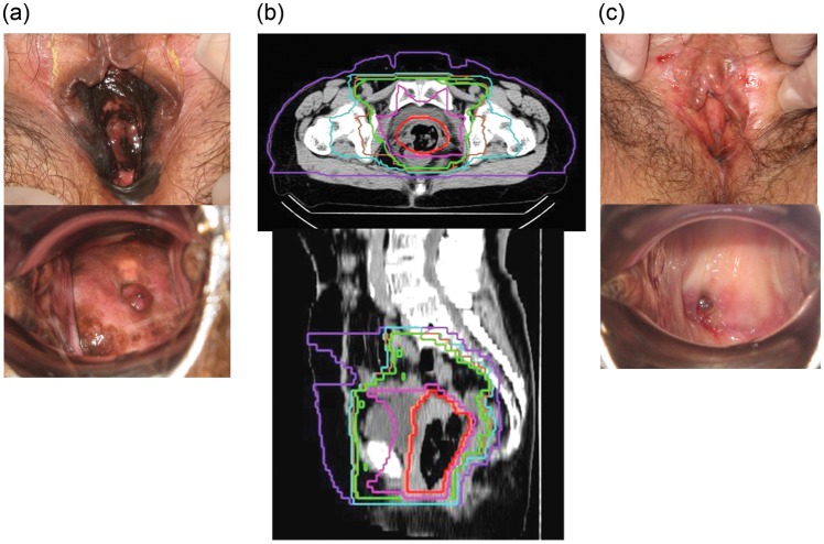 Fig. 1.