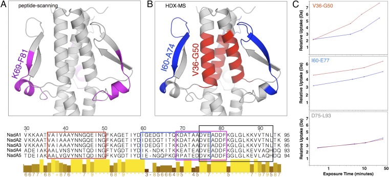 Fig. 6.