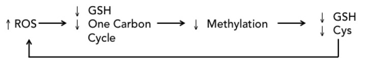 Fig. (8)