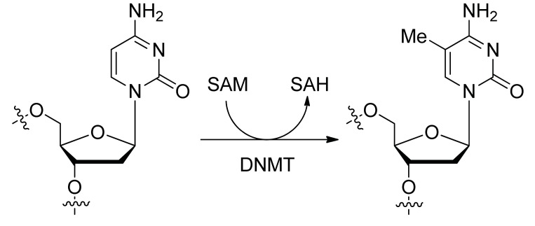 Fig. (1)