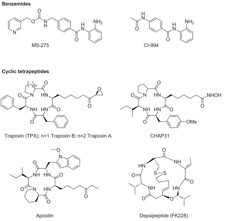 Fig. (6)