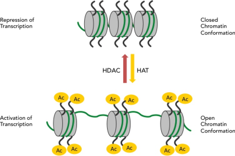 Fig. (4)