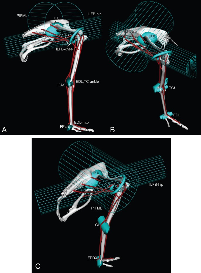 Figure 5