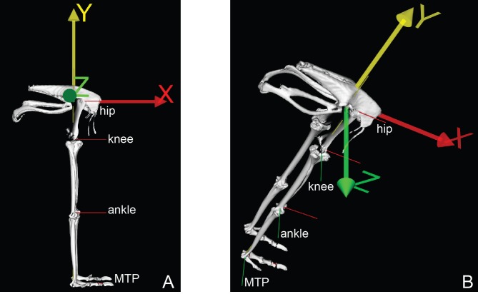 Figure 2