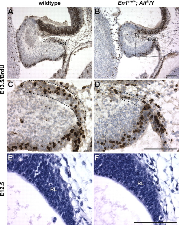 Figure 9.