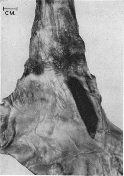 FIG. 8