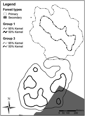 Fig. 1