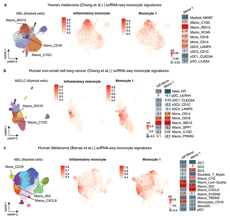 Extended Data Fig. 4