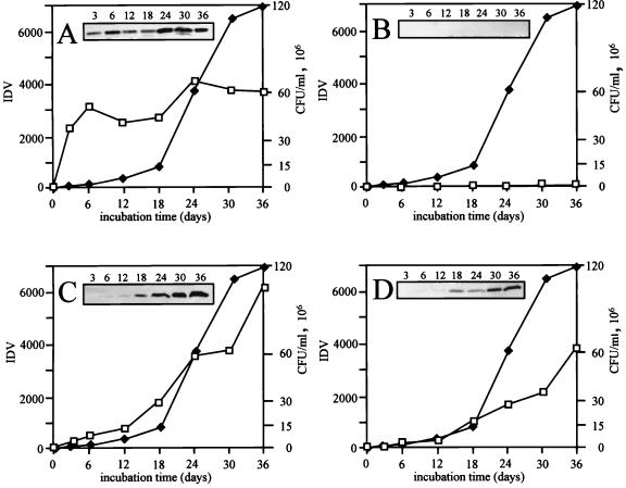 FIG. 7