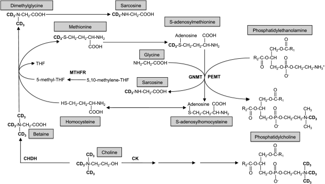 FIGURE 1.