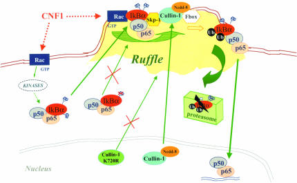 Figure 9.