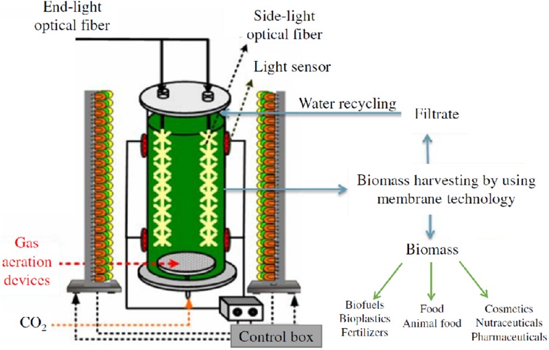 FIGURE 1