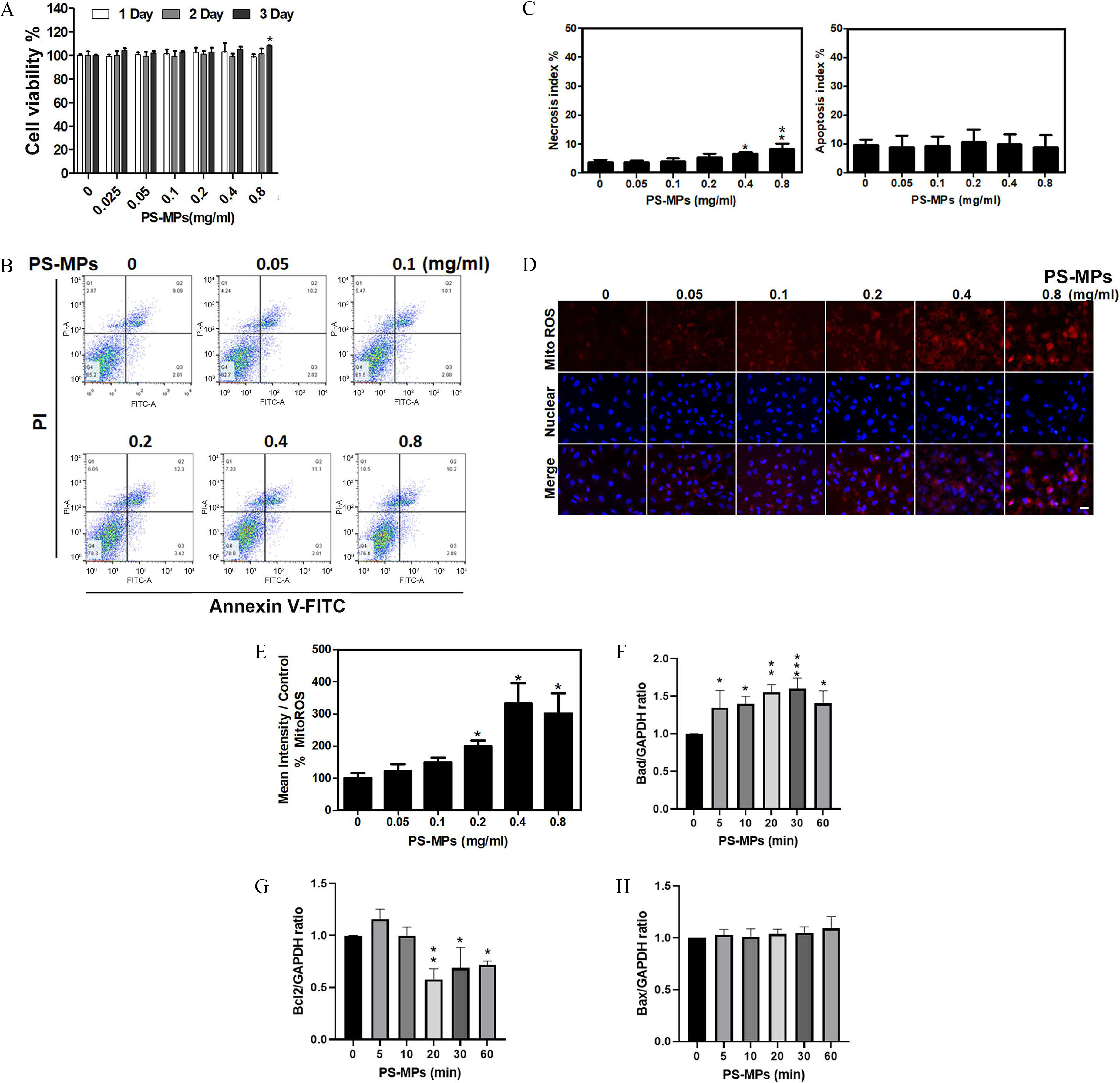 Figure 2A is a clustered bar graph plotting cell viability percentage, ranging from 0 to 140 in increments of 20 (y-axis) across polystyrene microplastics 0, 0.05, 0.1, 0.2, 0.4, and 0.8 milligrams per milliliter (x-axis) for 1 day, 2 days, and 3 days. Figure 2B is a set of six flow cytometry graphs plotting Propidium iodide for Propidium iodide-A, ranging from 10 begin superscript 0 end superscript to 10 begin superscript 4 end superscript in unit increments (y-axis) across Annexin V-fluorescein isothiocyanate for fluorescein isothiocyanate-A, ranging from 10 begin superscript 0 end superscript to 10 begin superscript 4 end superscript in unit increments (x-axis) for Polystyrene microplastics, concentrations of 0, 0.05, and 0.1 (milligram per milliliter) for the first three graphs and 0.2, 0.4, and 0.8 (milligram per milliliter) for the last three graphs, respectively. Figure 2C is a set of two bar graphs plotting Necrosis index percentage and Apoptosis index percentage, ranging from 0 to 50 in increments of 10 (y-axis) across Polystyrene microplastics (0, 0.05, 0.1, 0.2, 0.4, and 0.8 milligram per milliliter) (x-axis), respectively. Figure 2D is a display of six columns, titled Polystyrene microplastics, concentration of 0, 0.05, 0.1, 0.2, 0.4, and 0.8 (milligram per milliliter) and three rows, namely, Merge, Nuclear, and Mitochondrial Reactive Oxygen Species (rows). Figure 2E is a bar graph plotting mean intensity per control percentage Mitochondrial Reactive Oxygen Species, ranging from 0 to 500 in increments of 100 (y-axis) across Polystyrene microplastics (0, 0.05, 0.1, 0.2, 0.4, and 0.8 milligram per milliliter) (x-axis). Figures 2F to 2H are bar graphs plotting Bad per Glyceraldehyde-3-phosphate dehydrogenase, ranging from 0.0 to 2.0 in increments of 0.5; 0.0 to 1.5 in increments of 0.5; and 0.0 to 1.5 in increments of 0.5 (y-axis) across Polystyrene microplastics (minutes), ranging from 0 to 10 in increments of 5, 10 to 30 in increments of 10, and 30 to 60 in increments of 30 (x-axis), respectively.