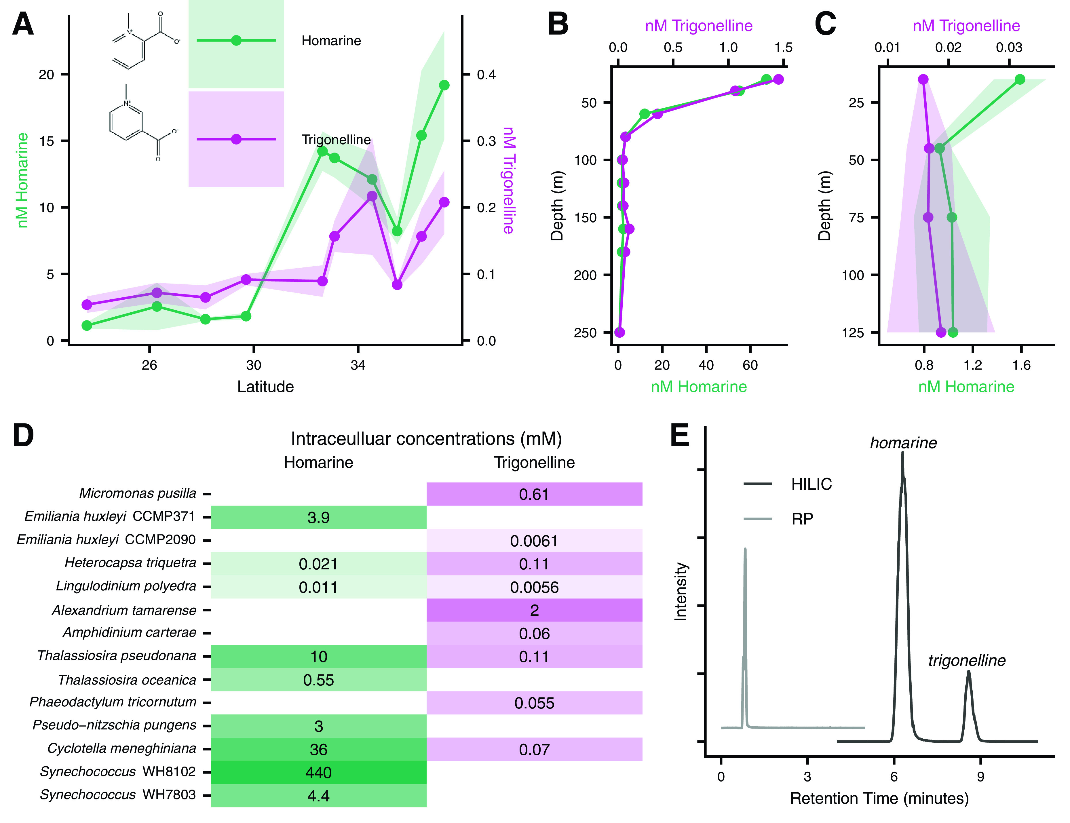 FIG 6