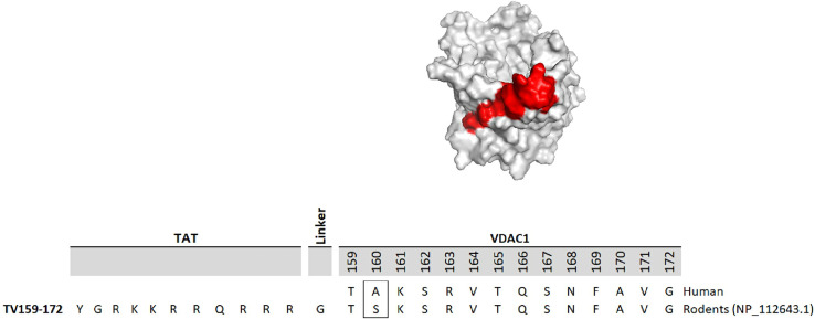 Figure 1