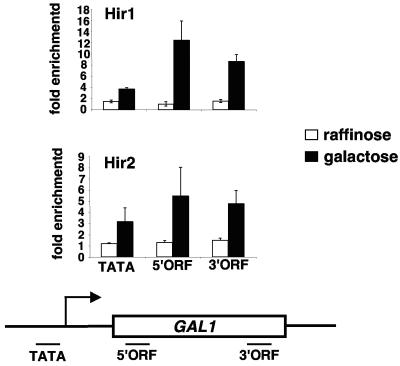 FIG. 7.