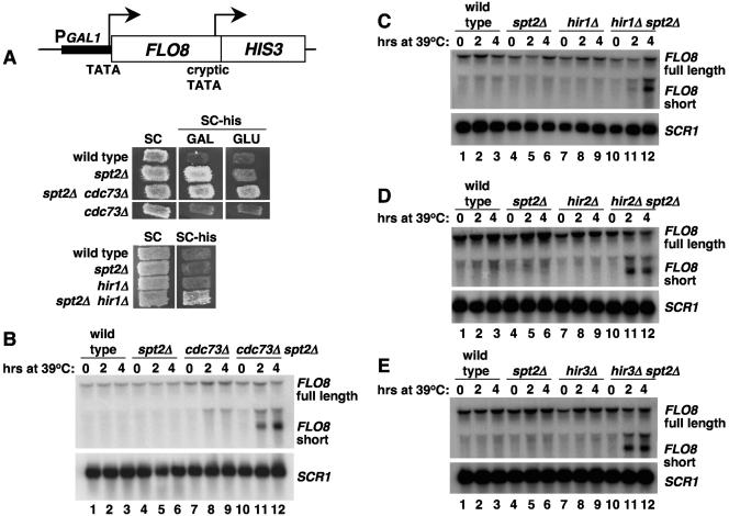 FIG. 6.