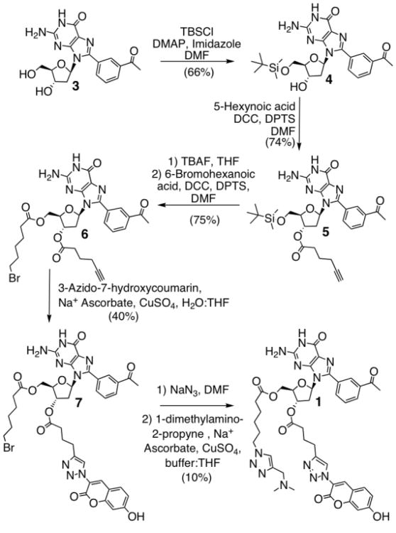 Scheme 1