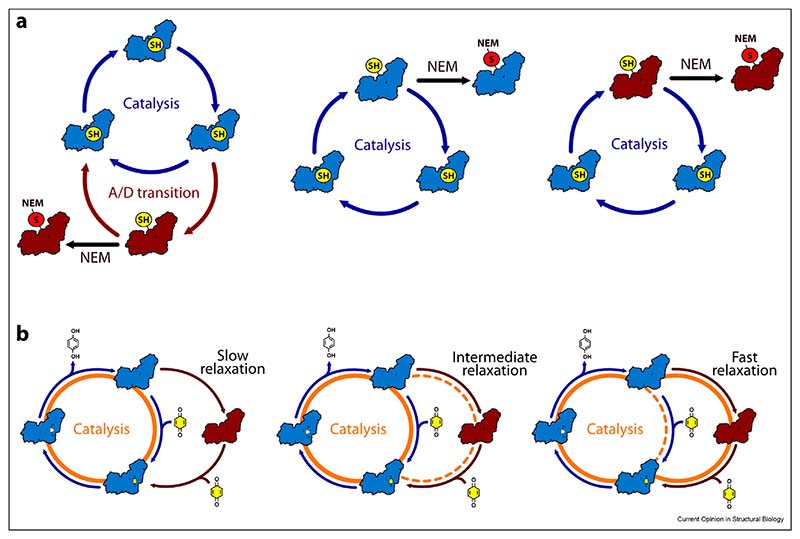 Scheme 2