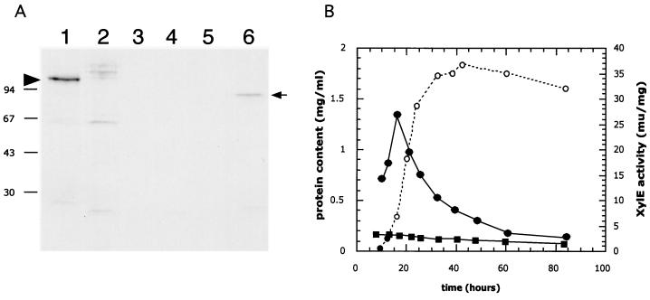 FIG. 5