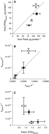 Fig. 6