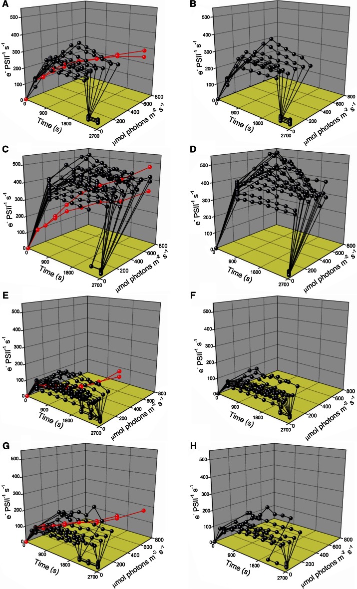 Fig. 8