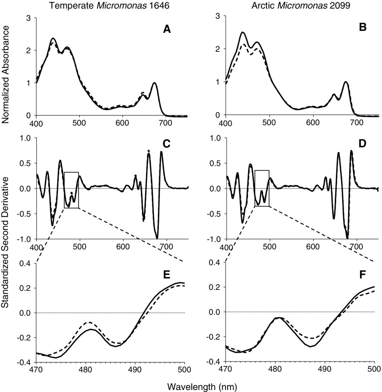 Fig. 7