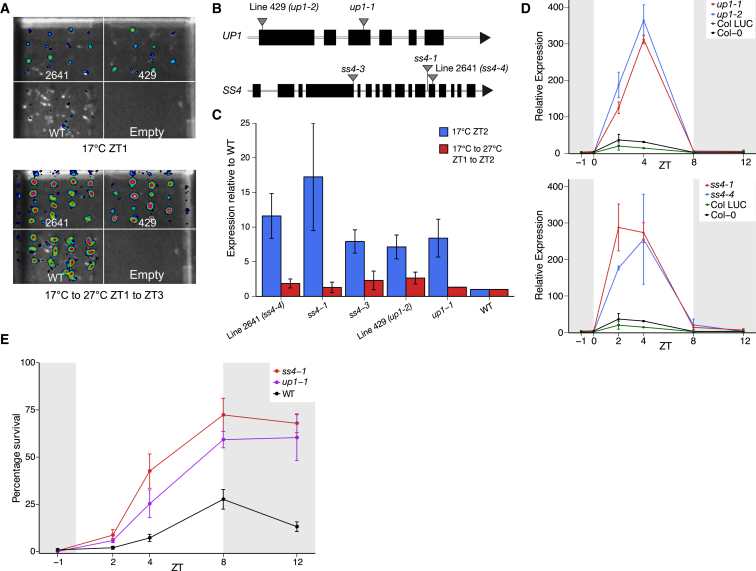 Figure 2