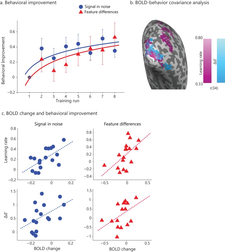 Figure 1—figure supplement 4.