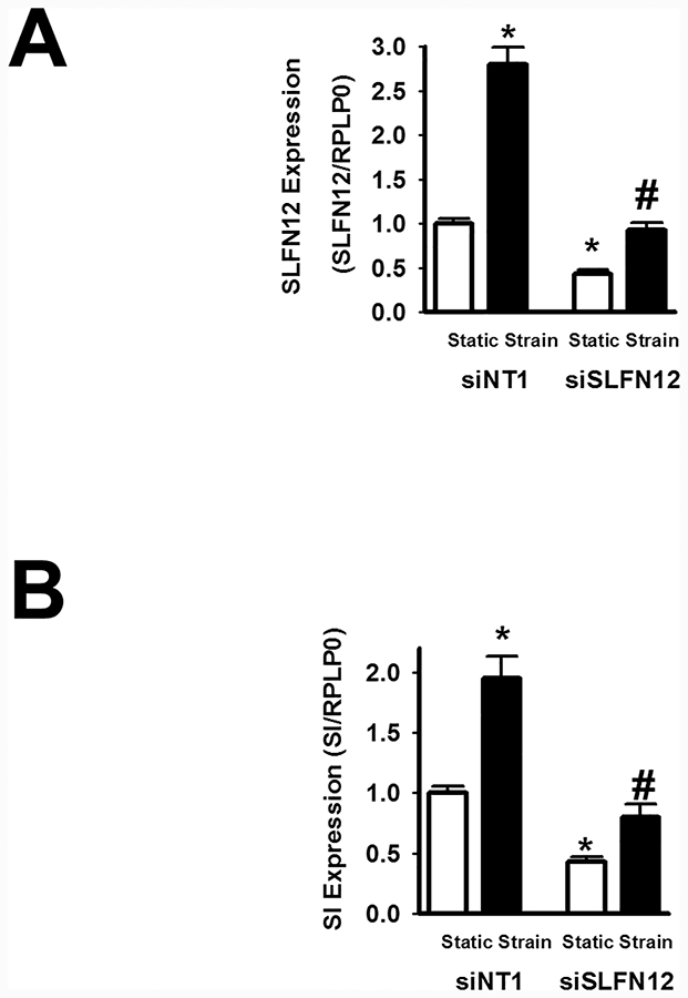 Figure 5: