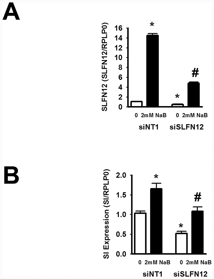 Figure 4: