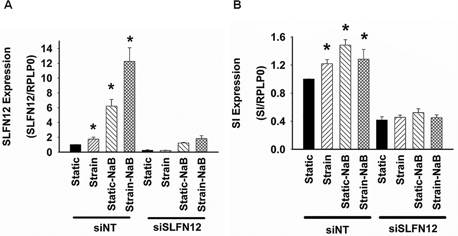 Figure 6: