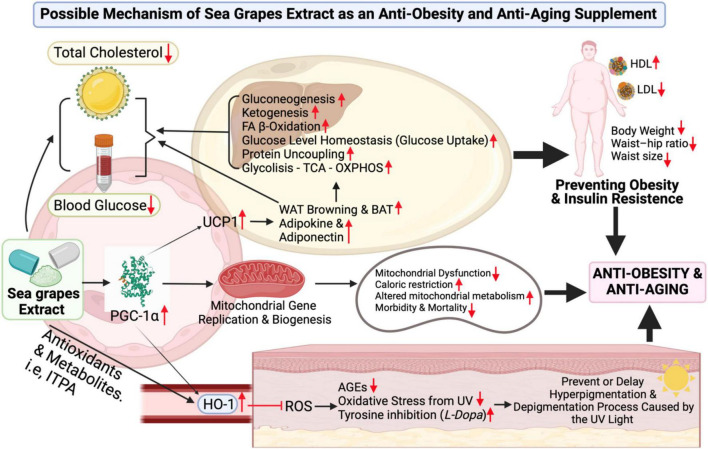 FIGURE 6