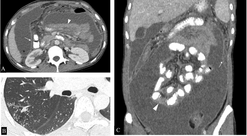 Fig. 7